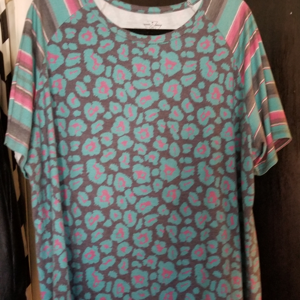 FINAL PRICE DROP Crazy Train green/pink animal print tunic